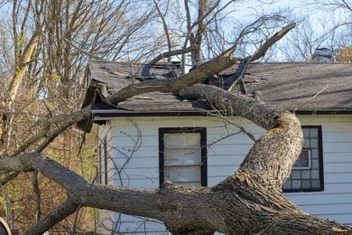 Storm Damage